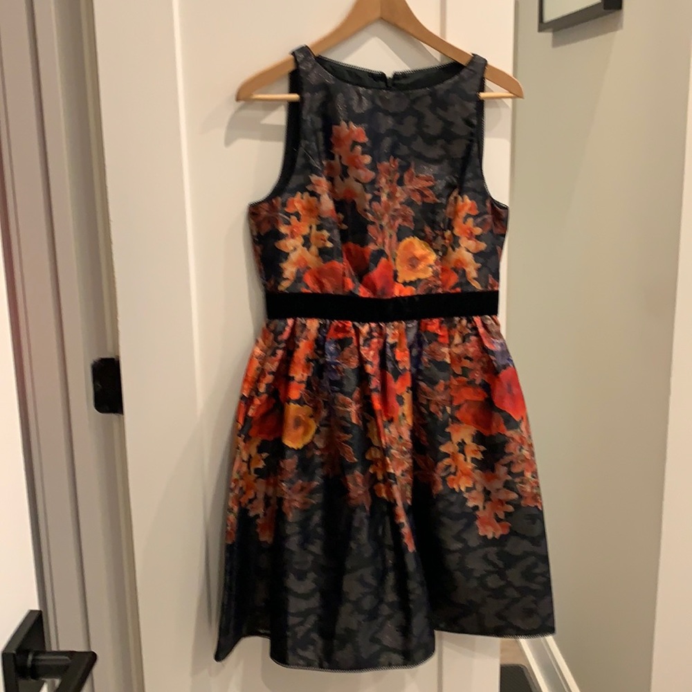ADRIANA PAPELL fall party dress